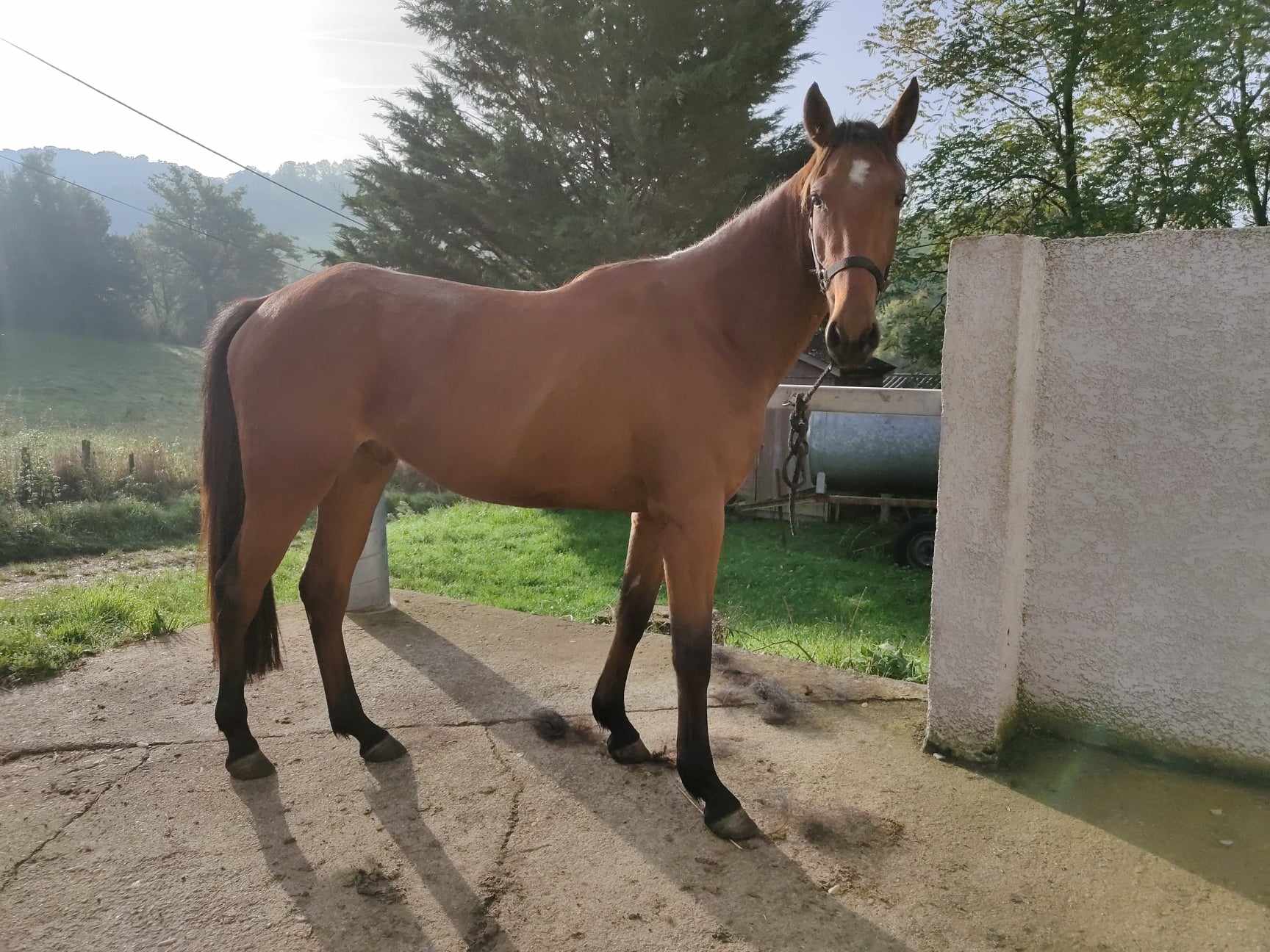 462638952 857794756561008 1111811185754543990 n