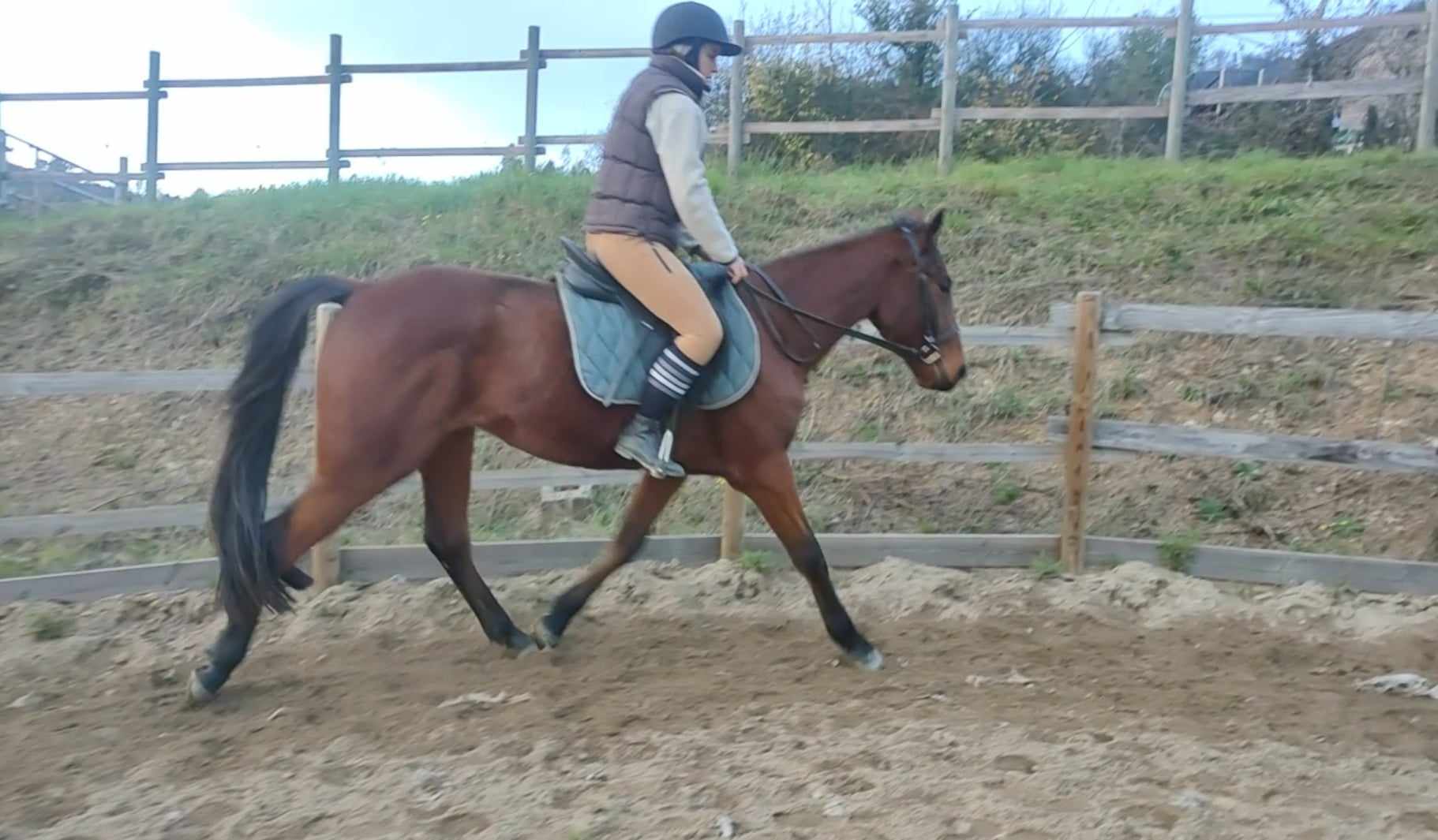 462564502 1316618326362445 222396719515966886 n