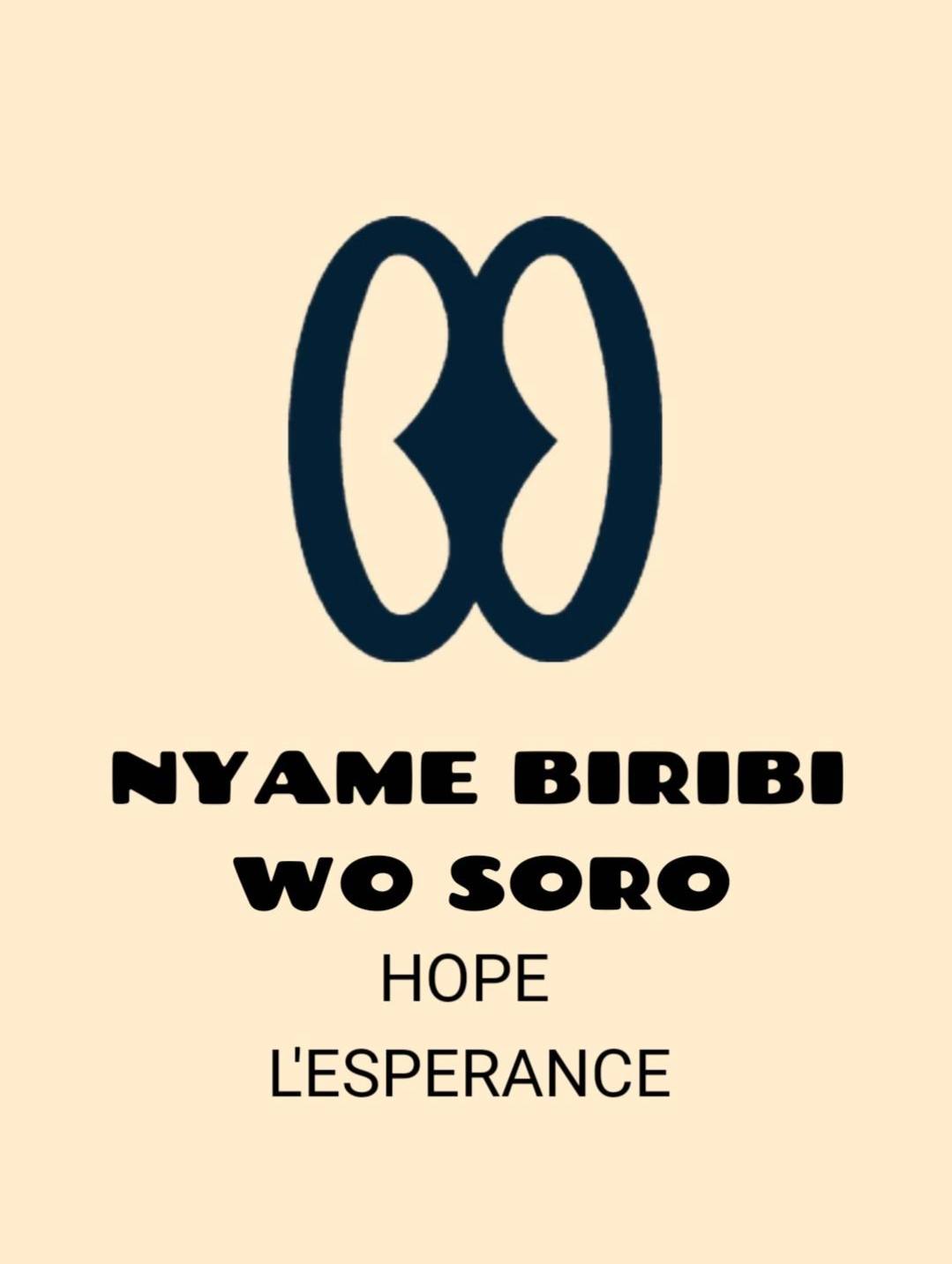 Nyame Biribi Wo Soro