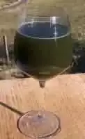 La couleur du purin d'ortie visible dans un verre