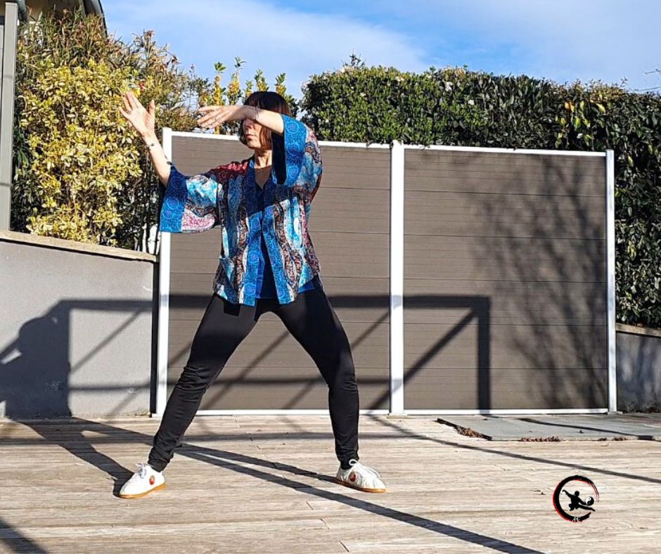 Cours qi gong tai chi sur mesure a domicile bourgoin artdumieuxetre
