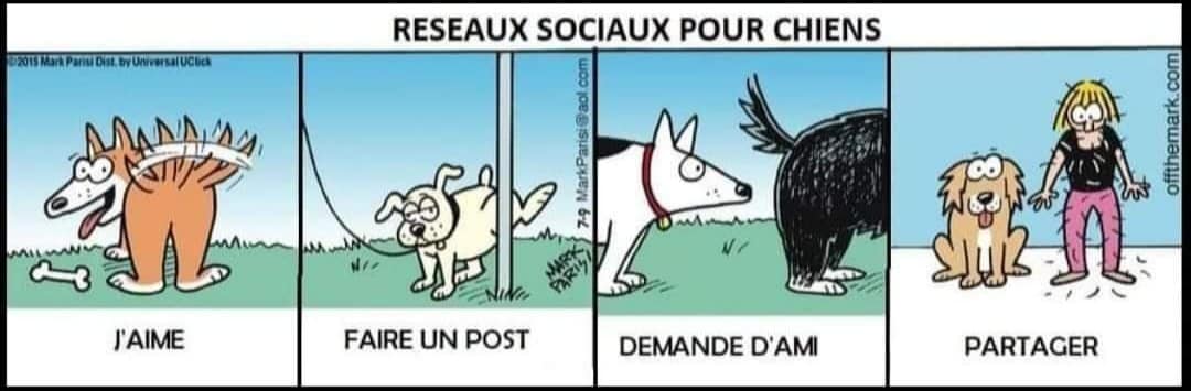 Reso-sociaux-chien