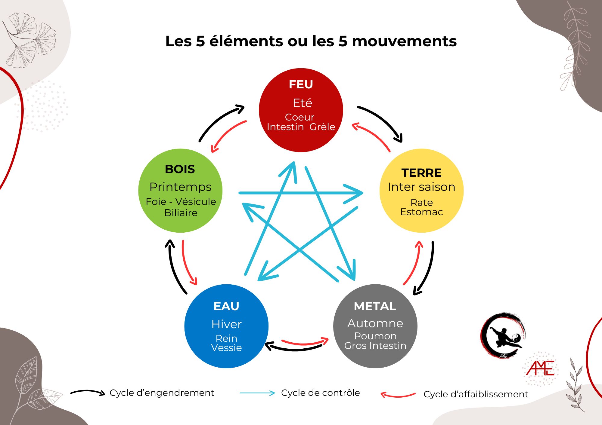 5 elements qi gong ame art du mieux etre adeline viviant jpg