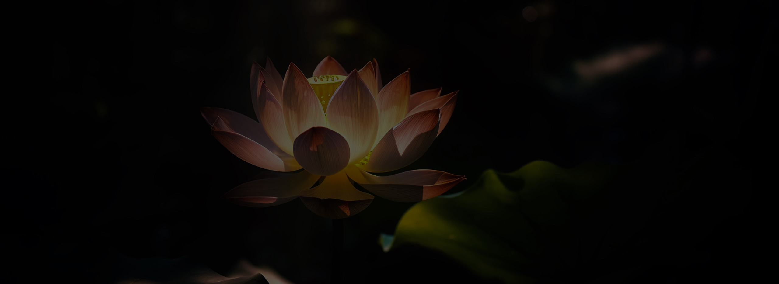 IMG 9425