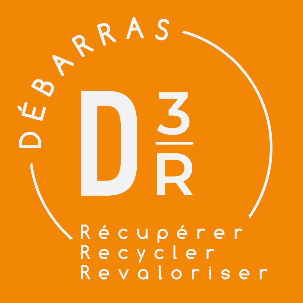 Logo-D3R-final