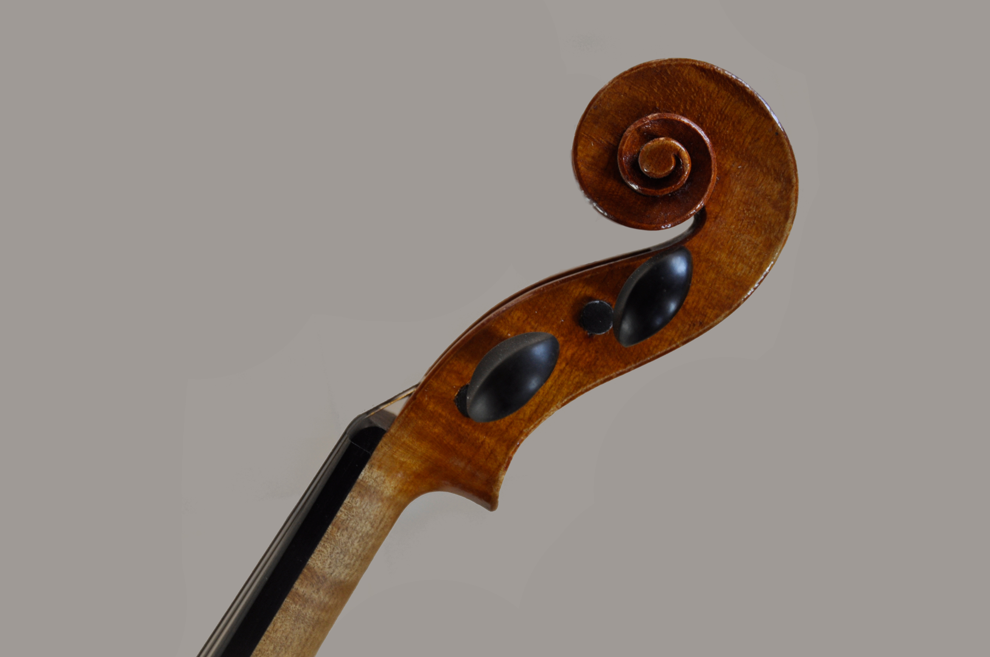 Violondma1tete