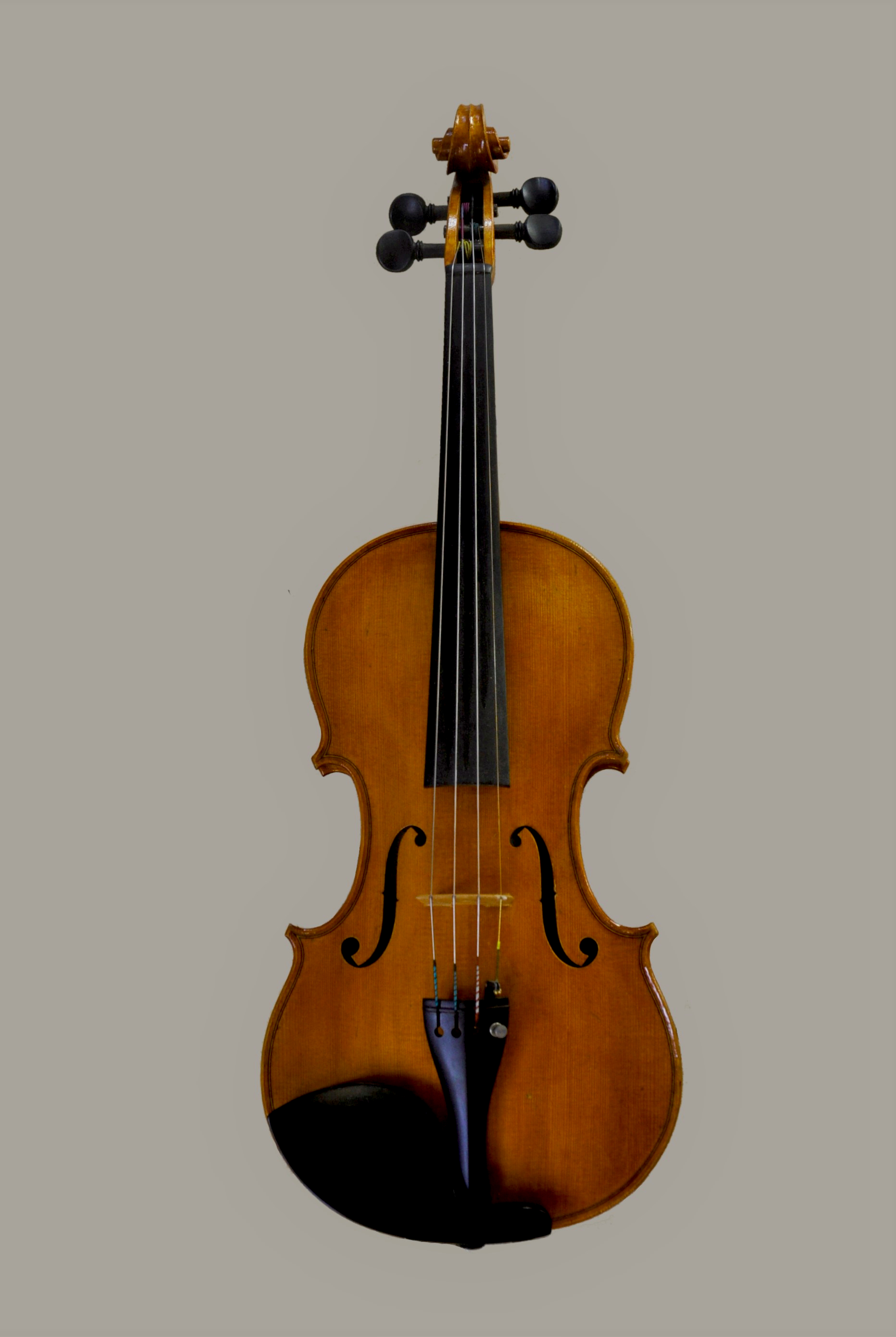 Violon dma1 facer