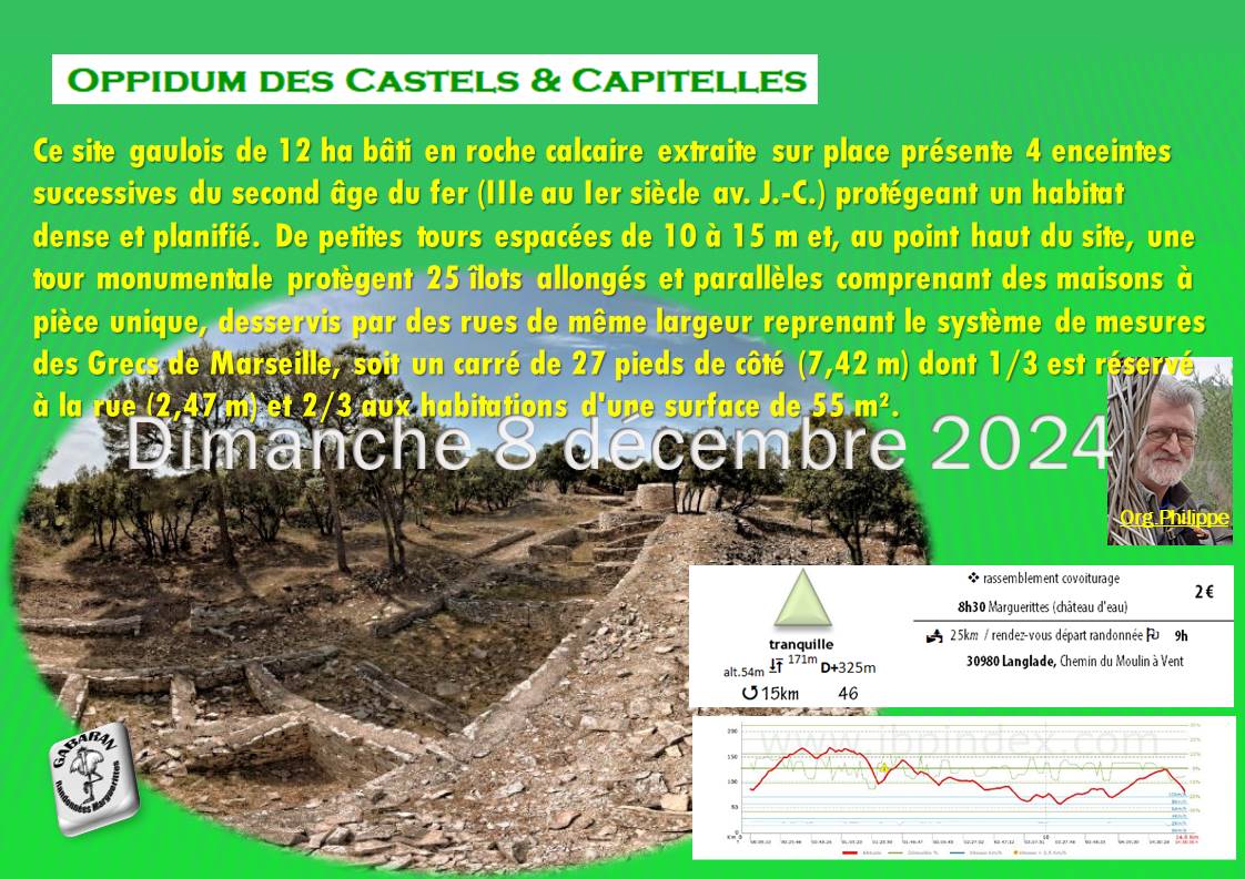 Oppidum-des-Castels-Capitaine