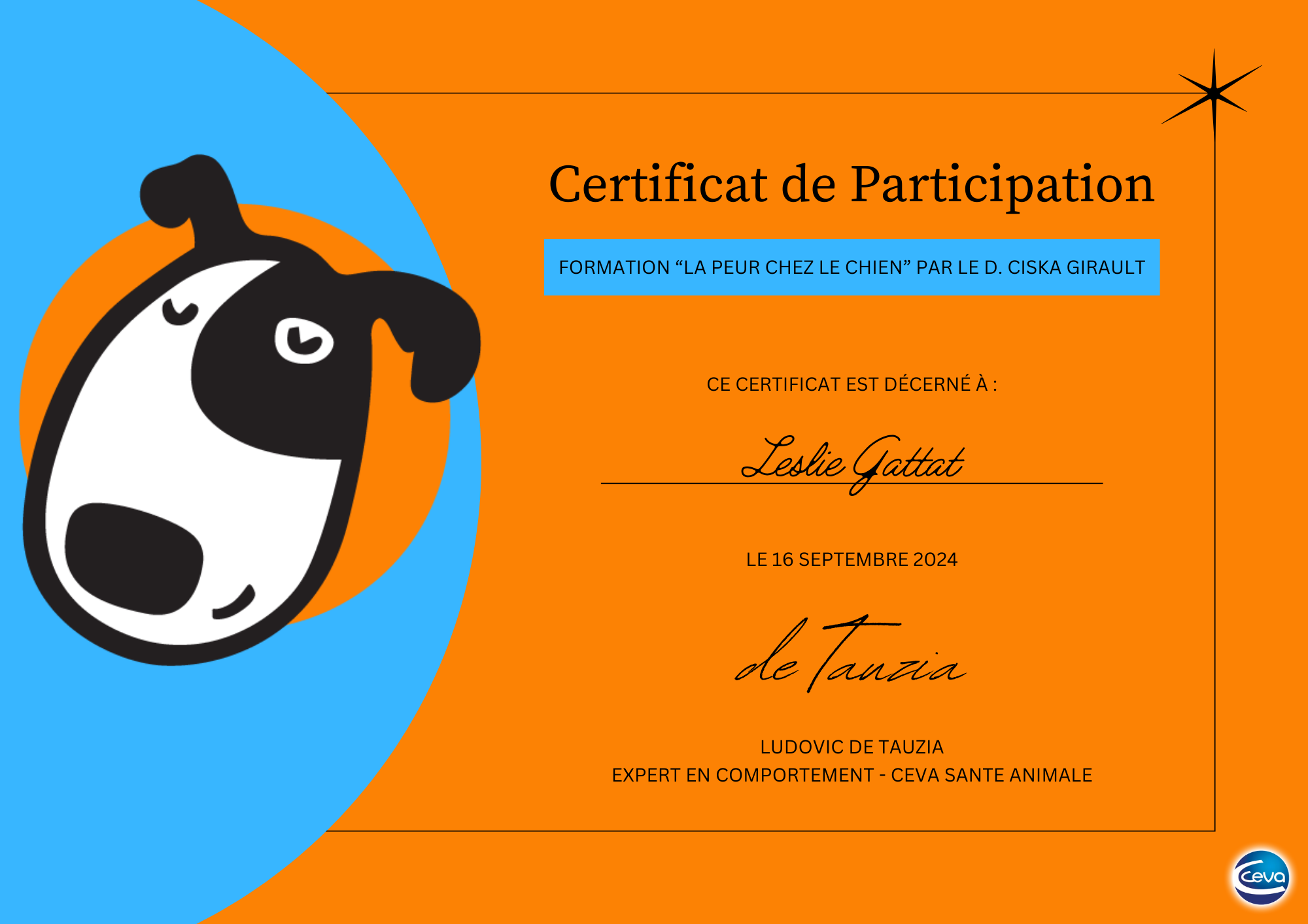 Certificat-de-Participation-Road-Show