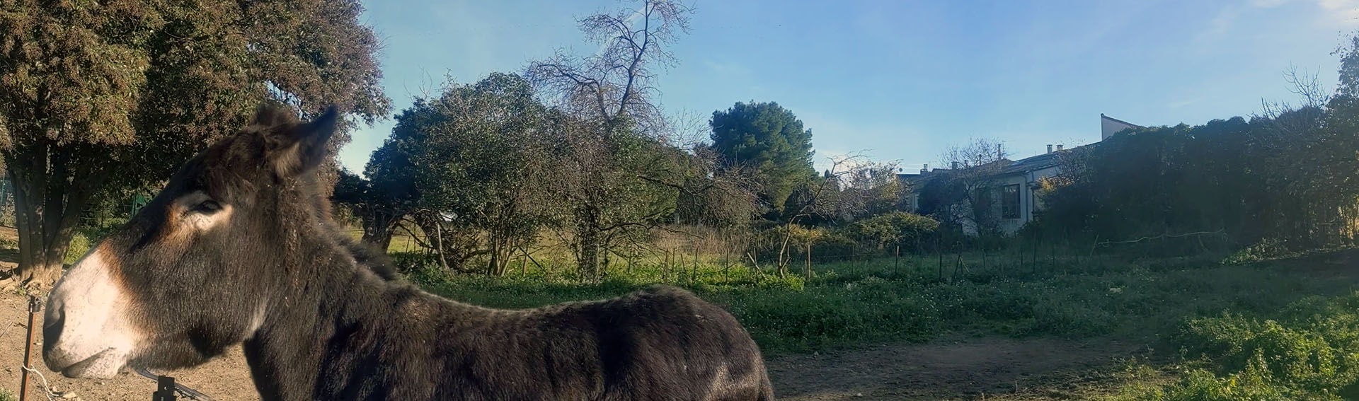 Hameau-de-Meyrargues-6