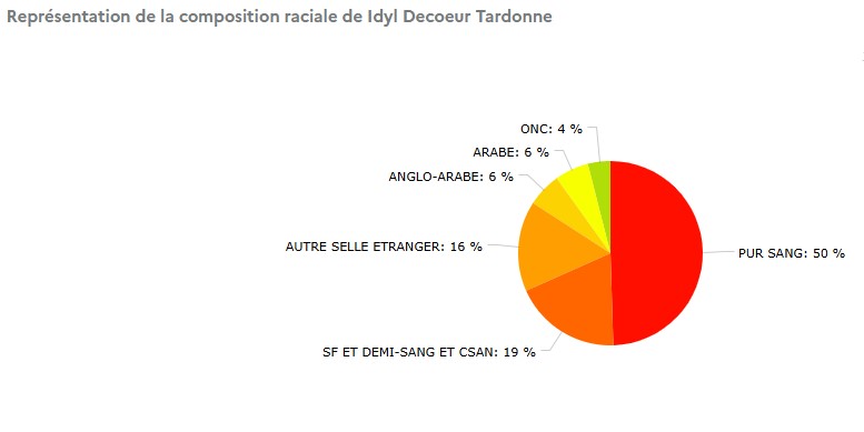 Representation-raciale-idyle-decoeur-tardonne
