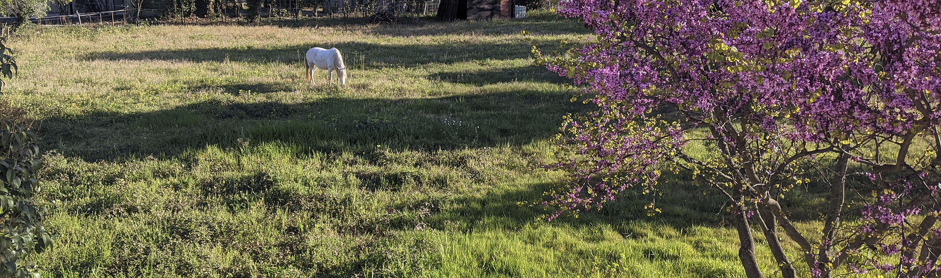 Hameau-de-Meyrargues-10
