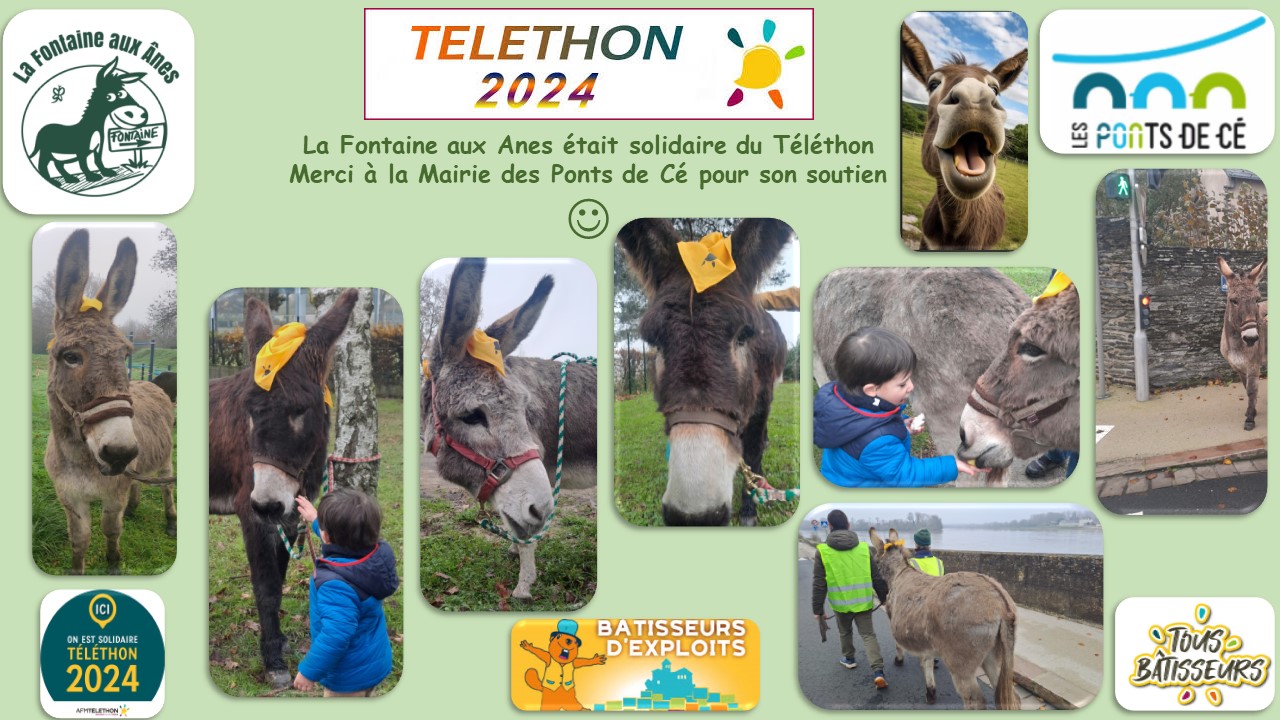 Telethon-2024-pour-comm