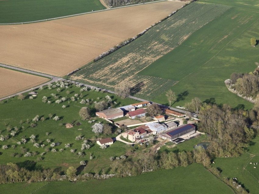Vu de haut ferme