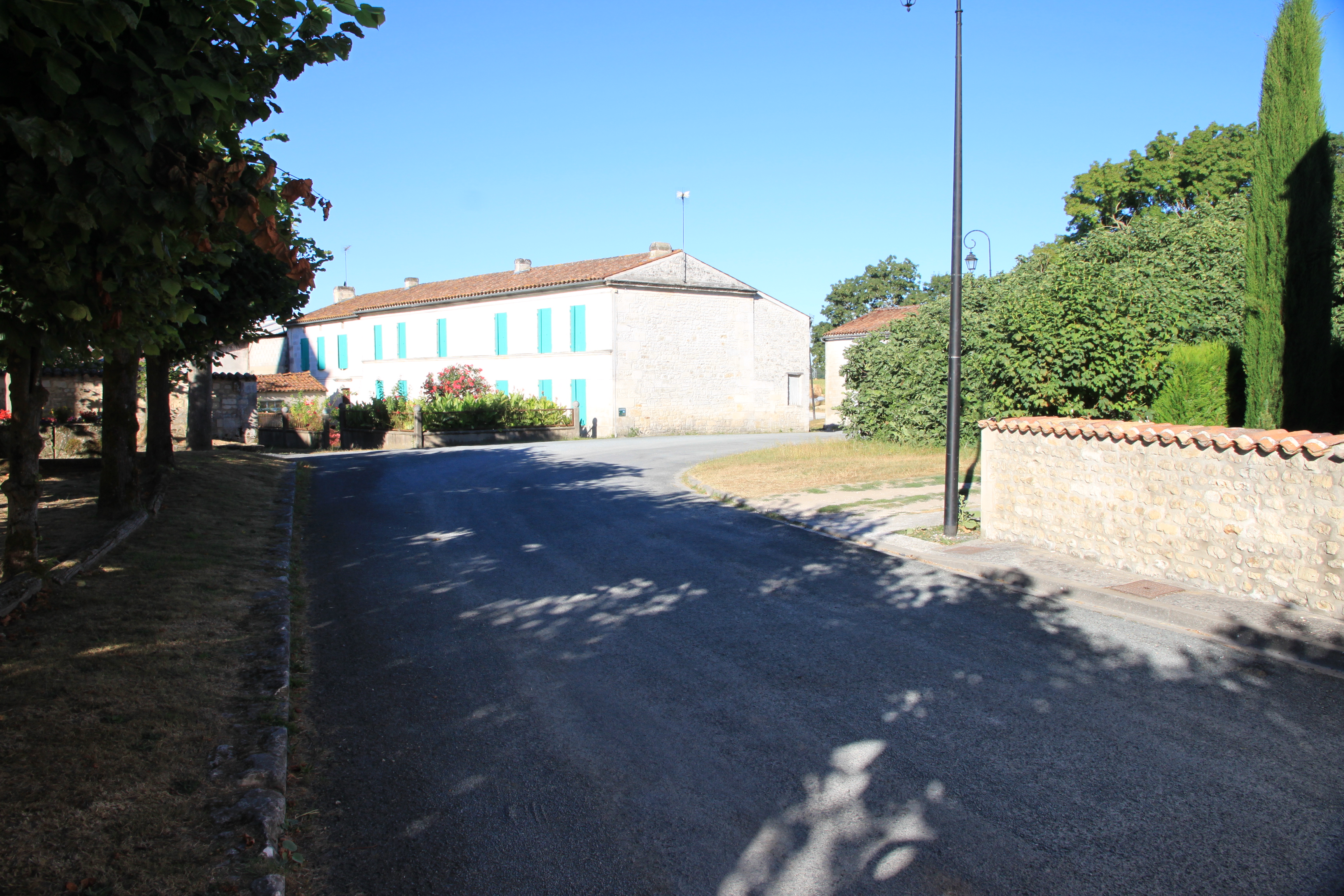 Img 7129