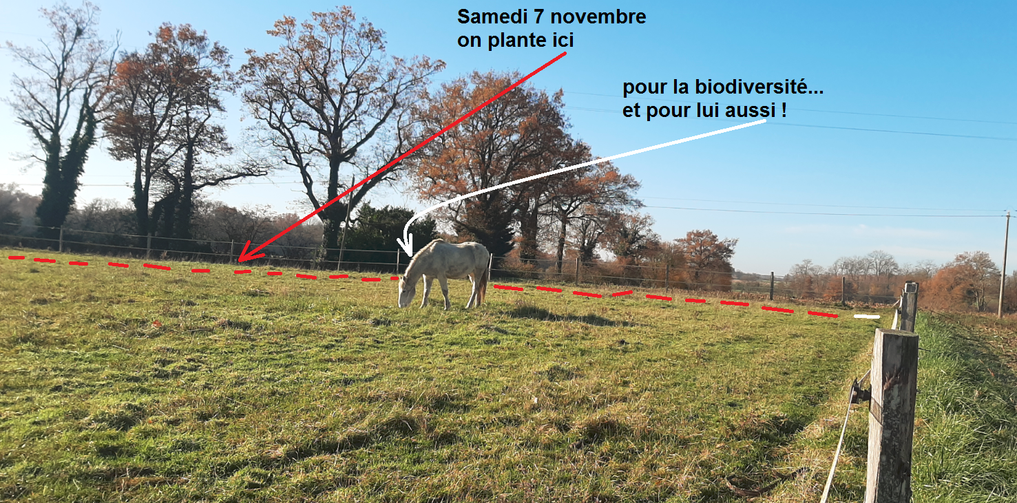 Plantation samedi 7 décembre à Chalamont 