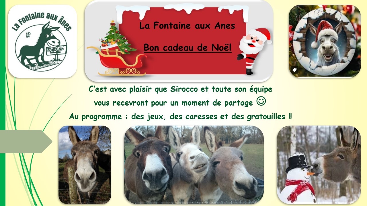 Bon-cadeau-de-Noel