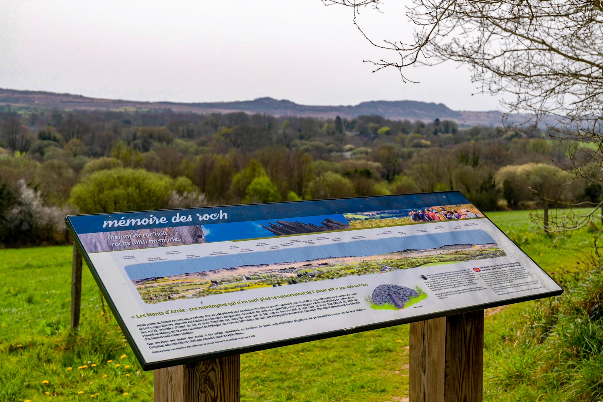 Photo-56-Mathieu-le-Gall