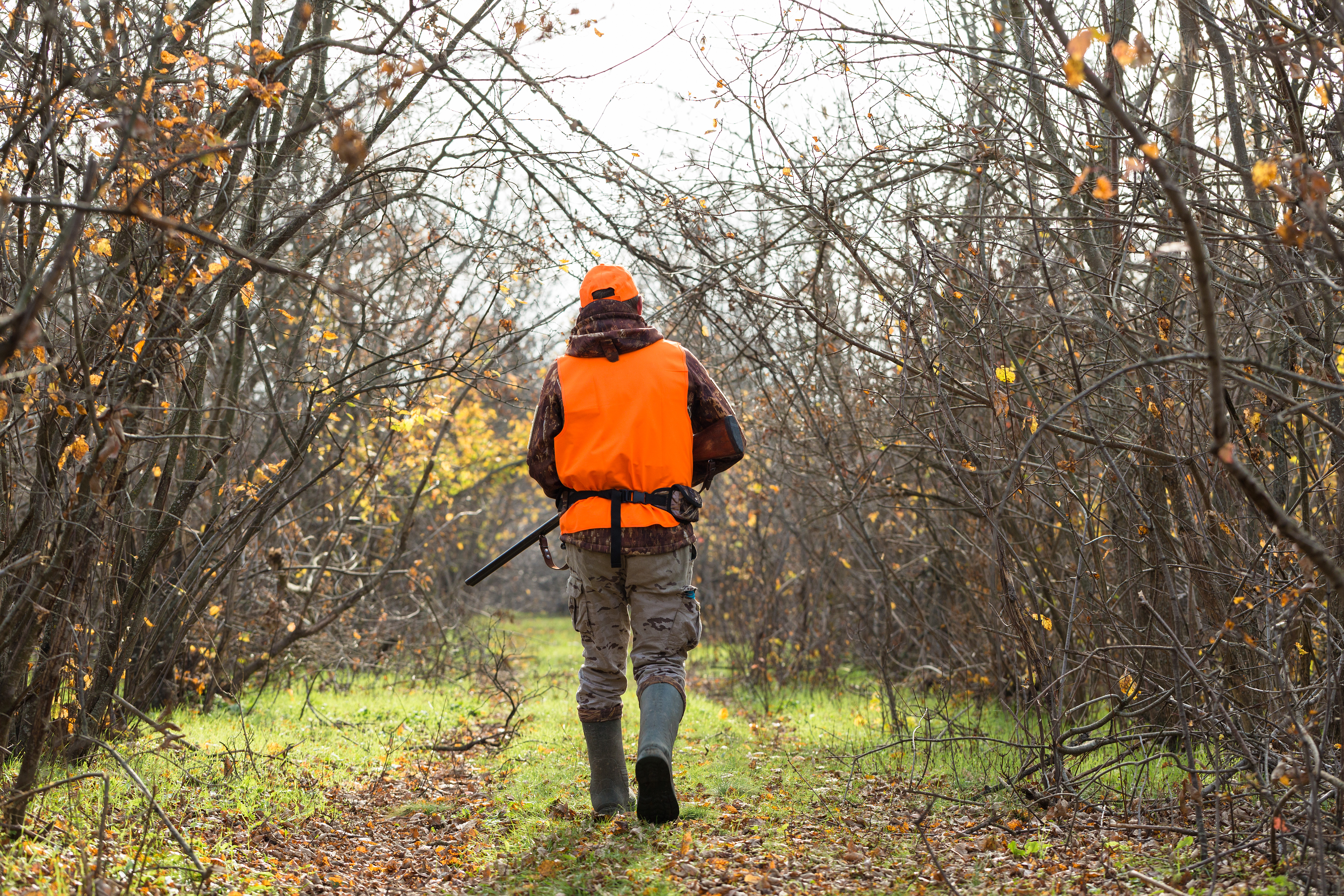 Hunter-man-camouflage-with-gun-hunt-search-wild-birds-game-autumn-hunting-season