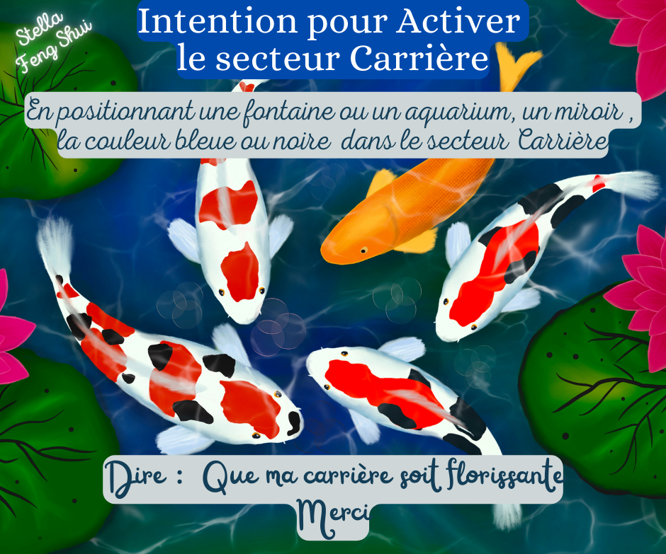 Intention-pour-activer-le-secteur-Carriere