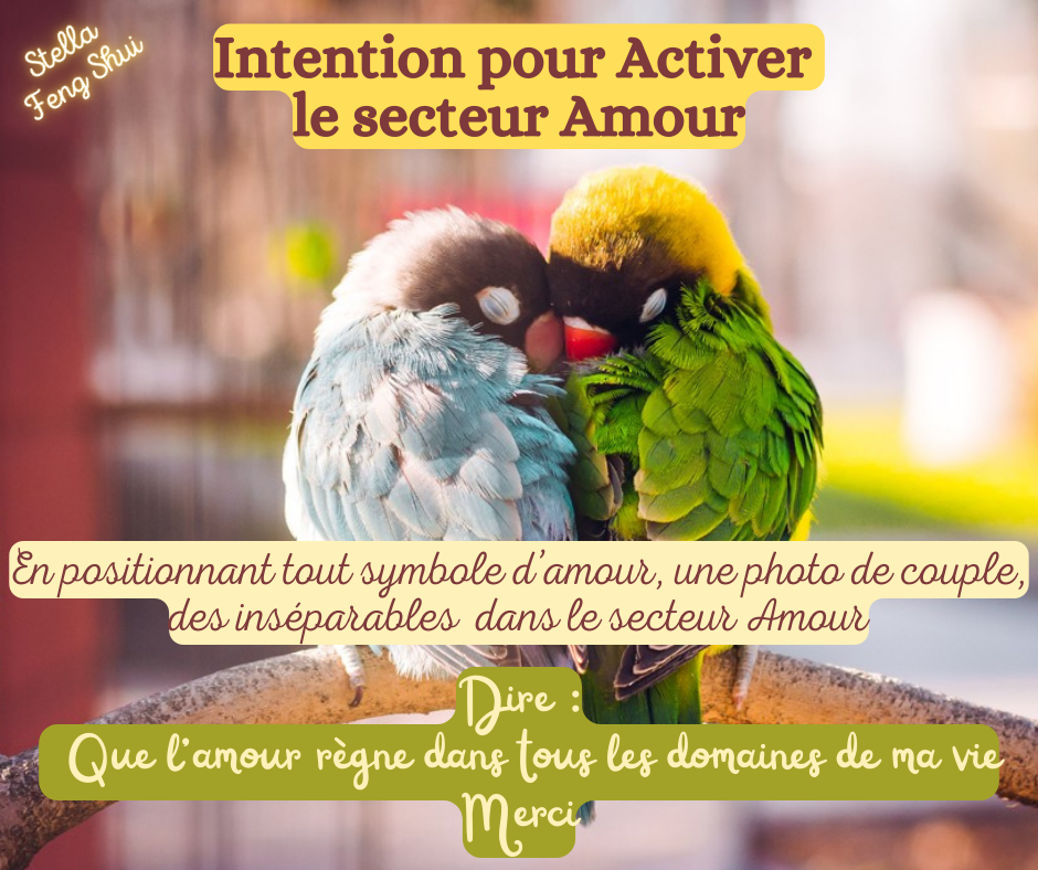 Intention-pour-activer-le-secteur-amour