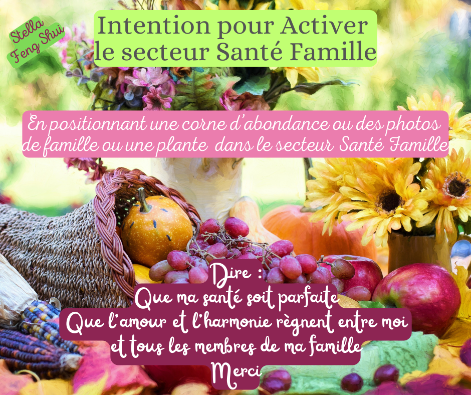 Intention-pour-activer-le-secteur-sante-famille