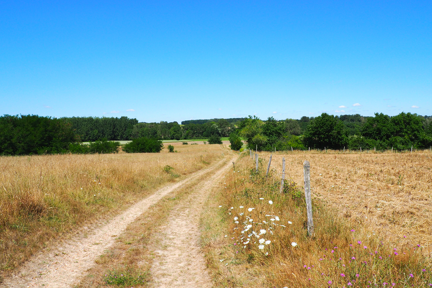 Photo rando parpecay 7km 5