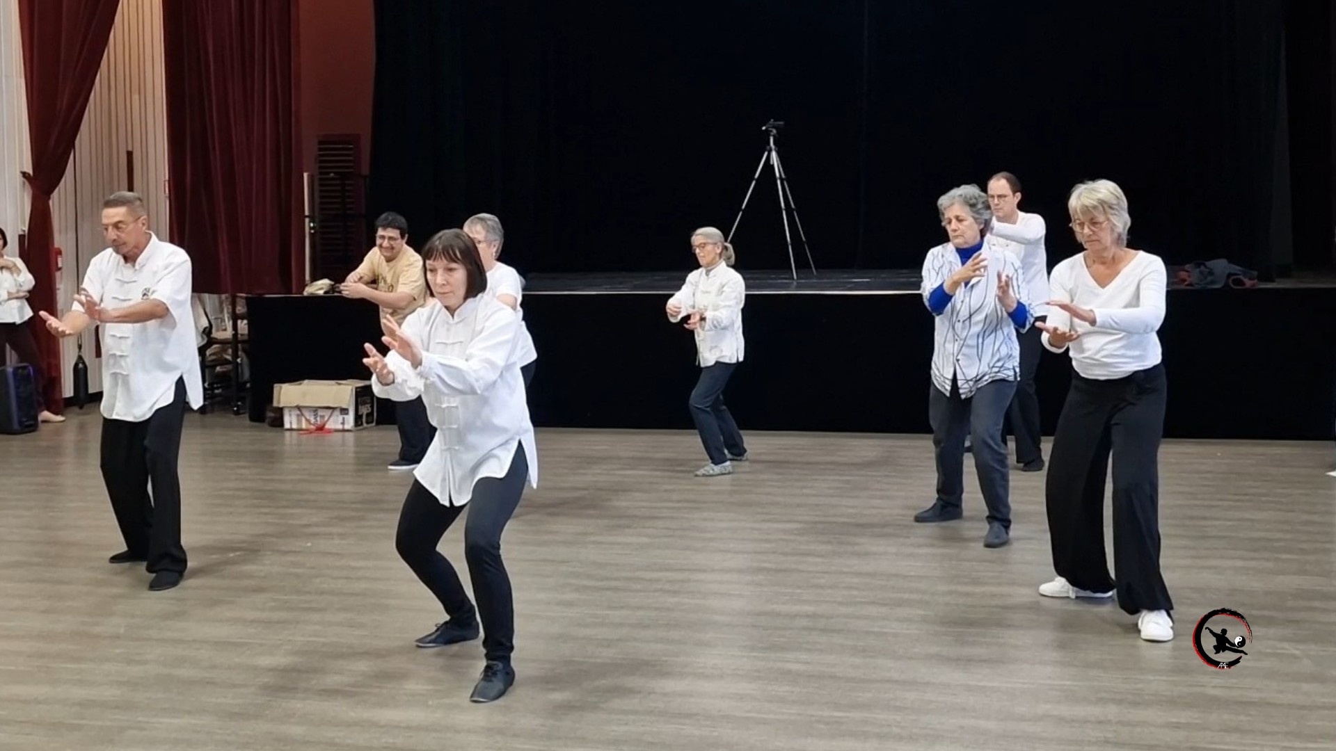 Bien-être en mouvement : Qi Gong et Tai Chi au Téléthon de Maubec 2024
