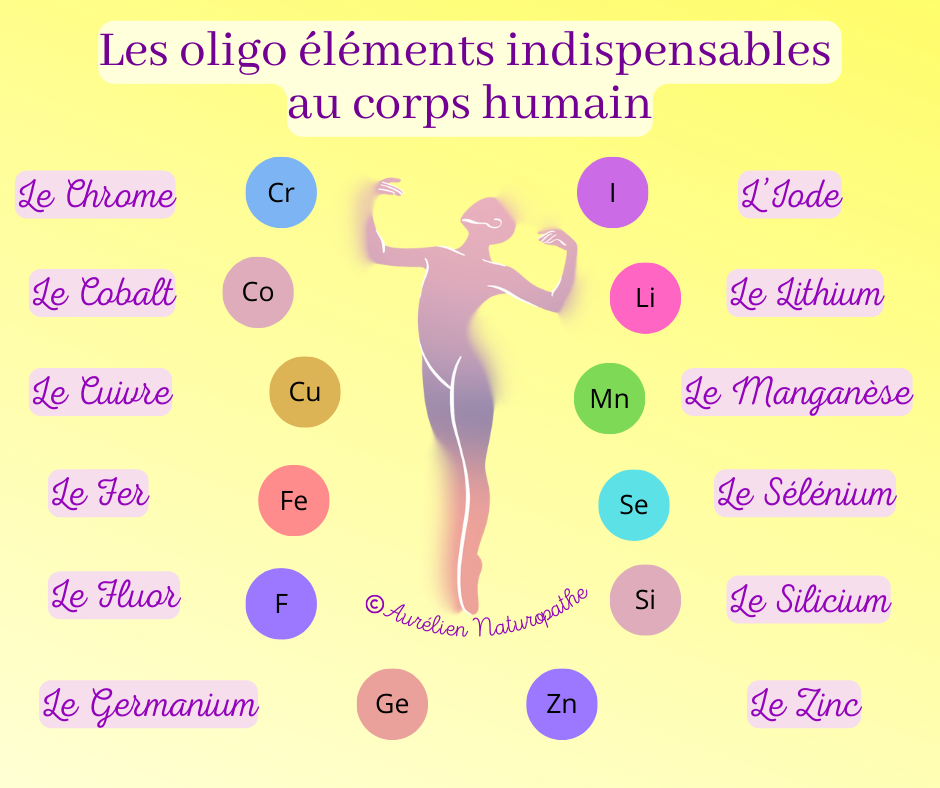 Les-oligo-elements-indispensables-au-corps-humain