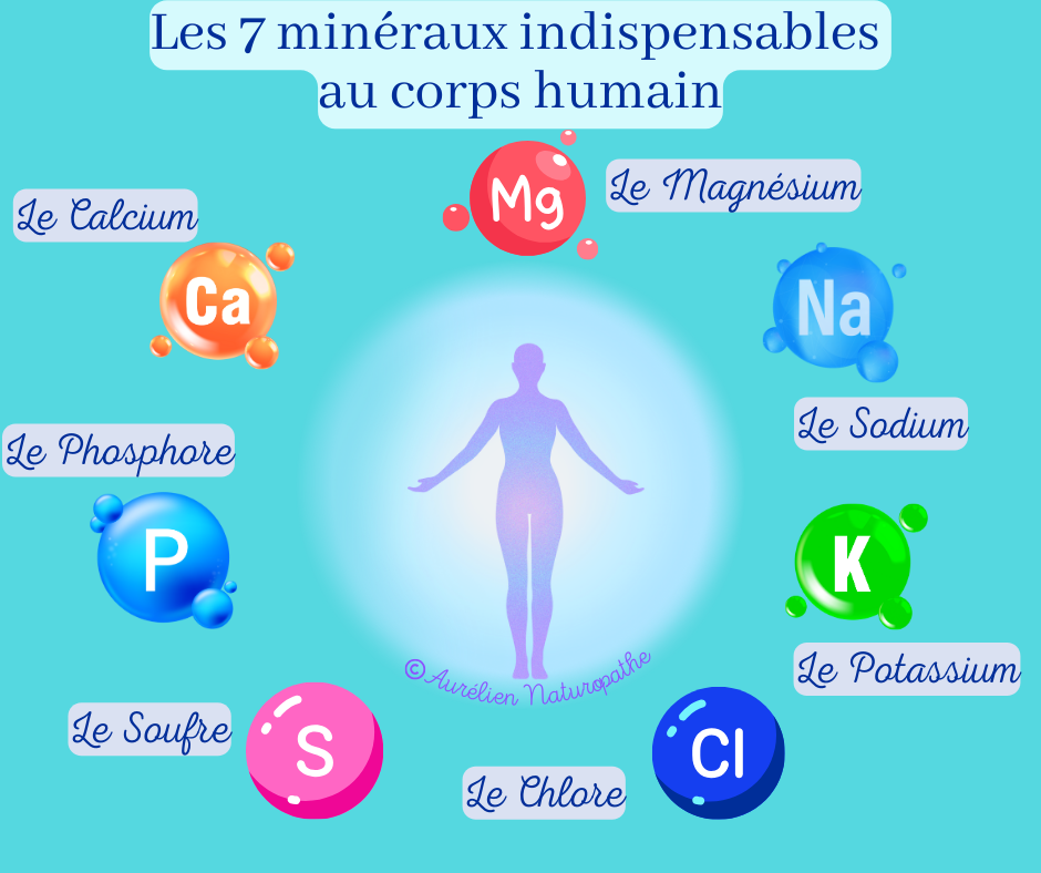 Les-mineraux-indispensables-au-corps-humain