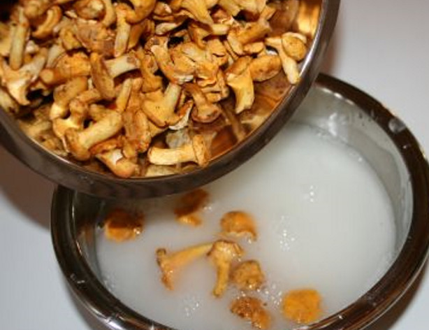 Chanterelles-6