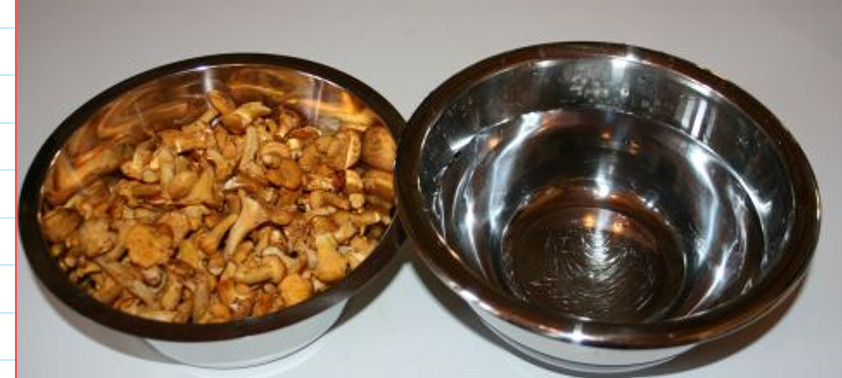 Chanterelles-2