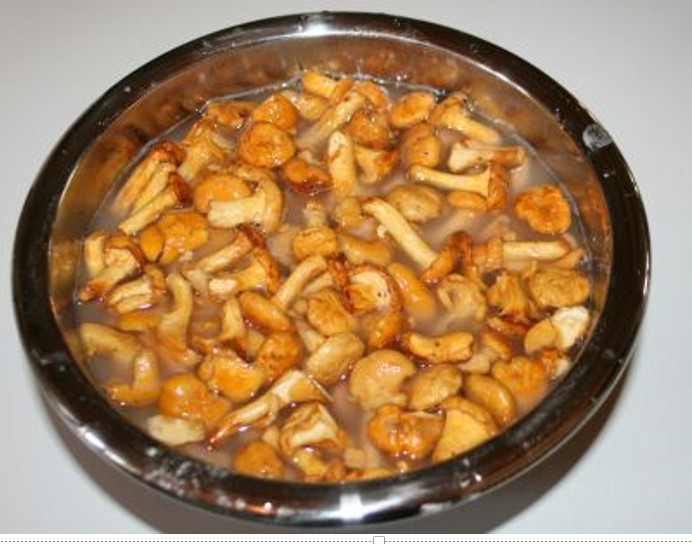 Chanterelles-9