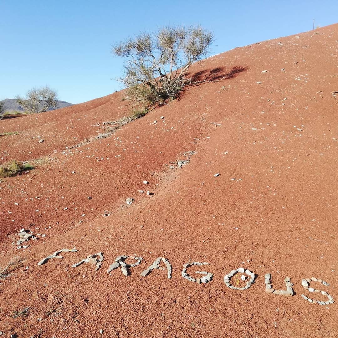 Img 20210406 220605 686