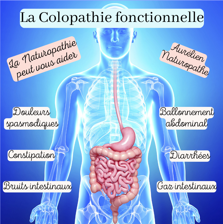 La-colopathie-fonctionnelle-2