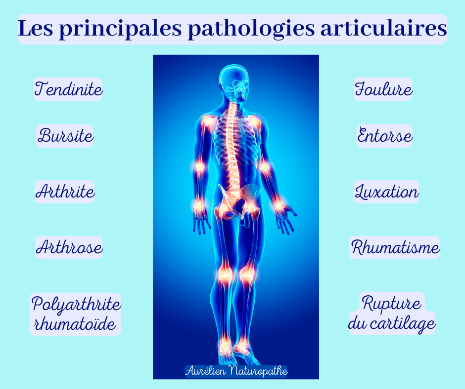 Principales-pathologies-articulaires