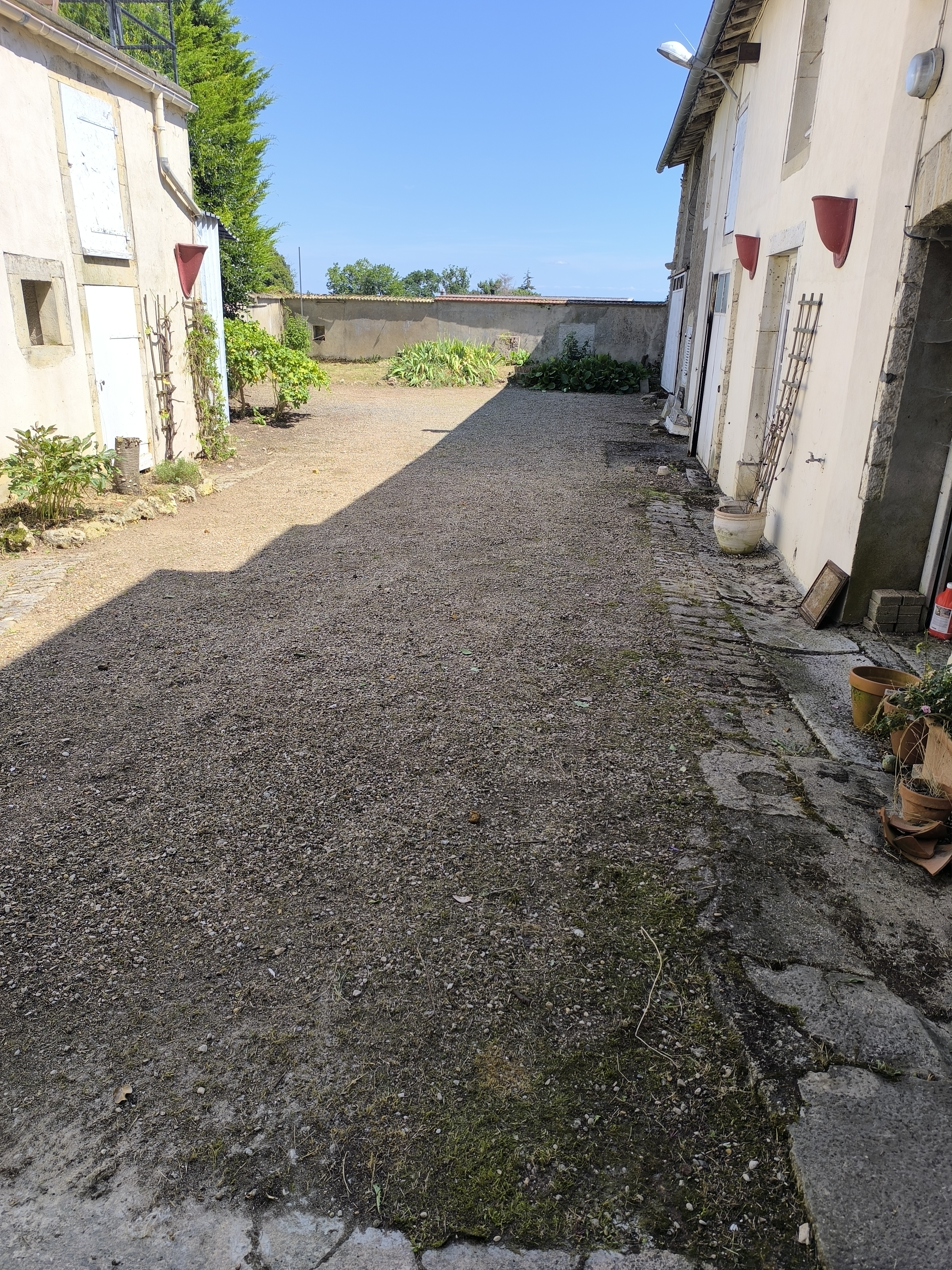 Img 20240725 152919