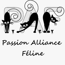 Passion-alliance-feline