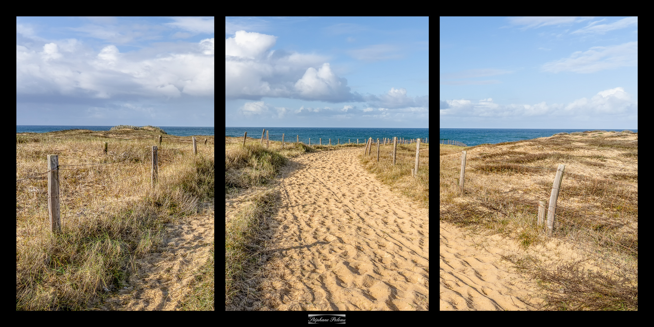 Hossegor triptique 60x30 tryptique 1