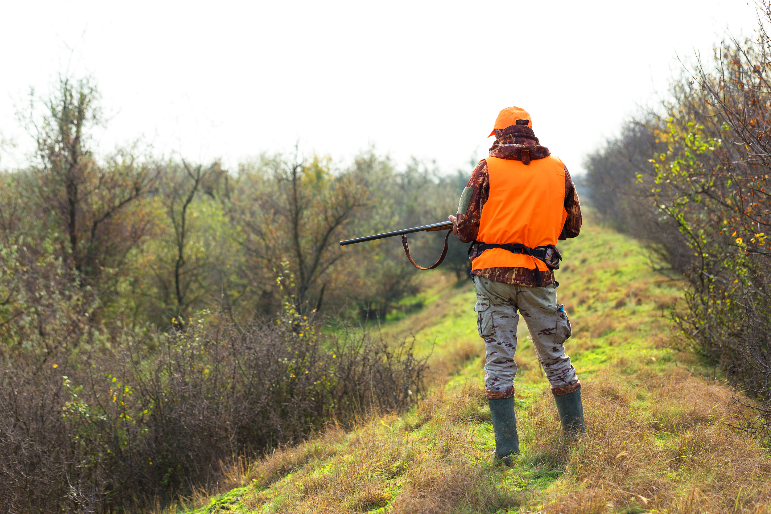 Societe-de-Chasse-Val-Fouzon
