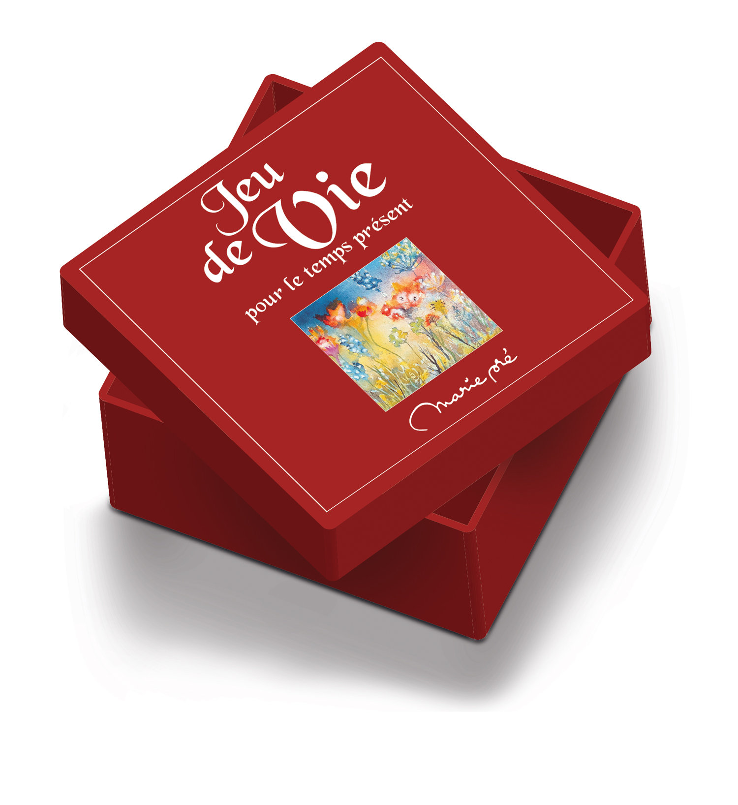 Maquette-3d-coffret-jeu-de-vie-marie-pre