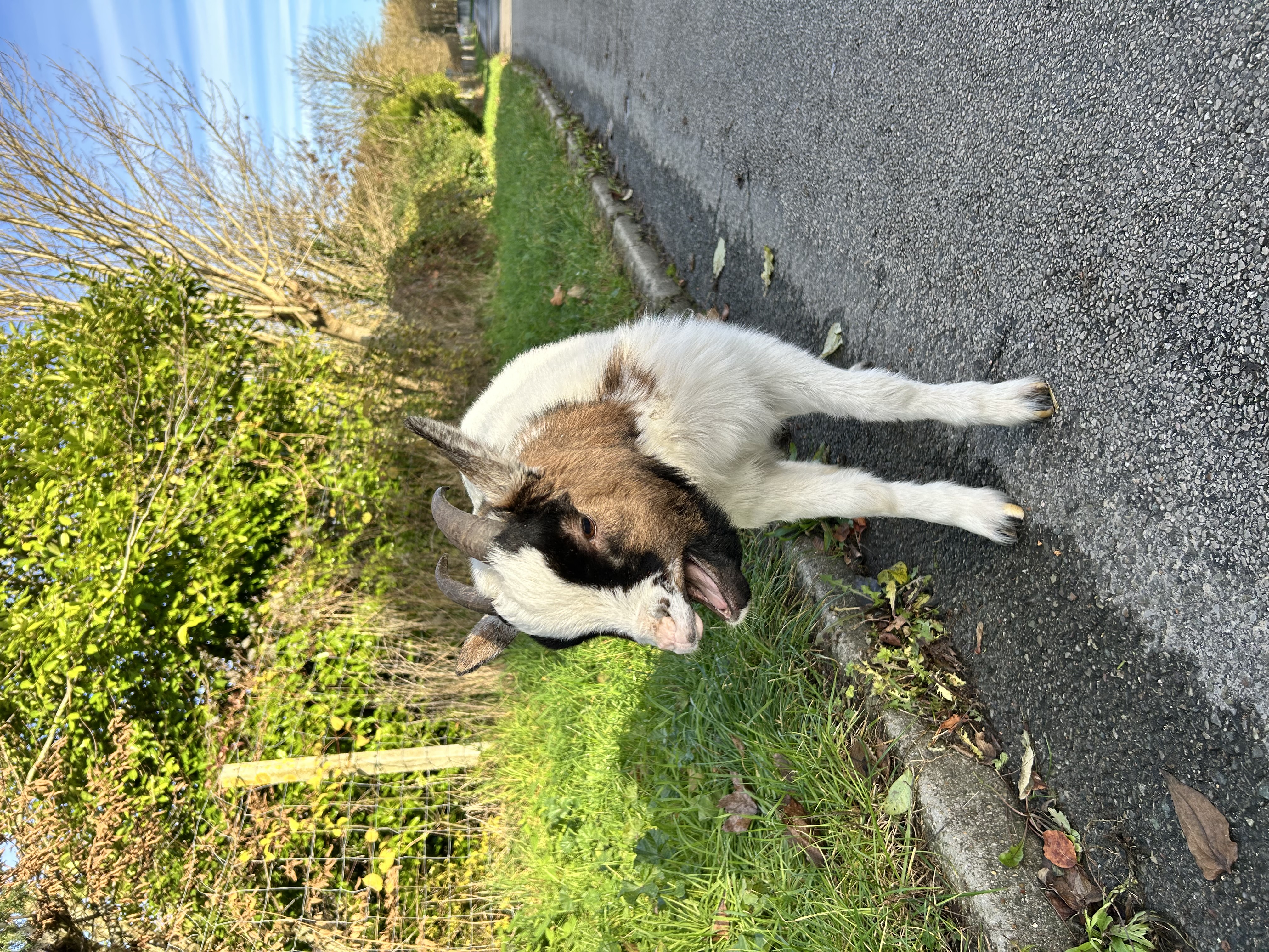 Img 0365