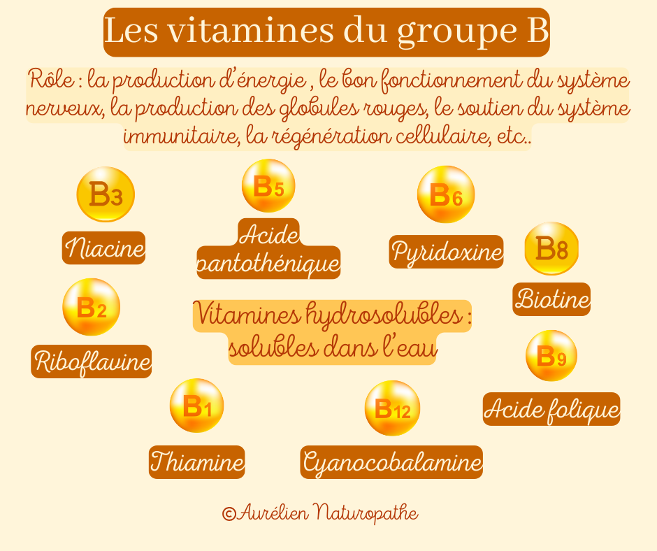 Les-vitamines-B