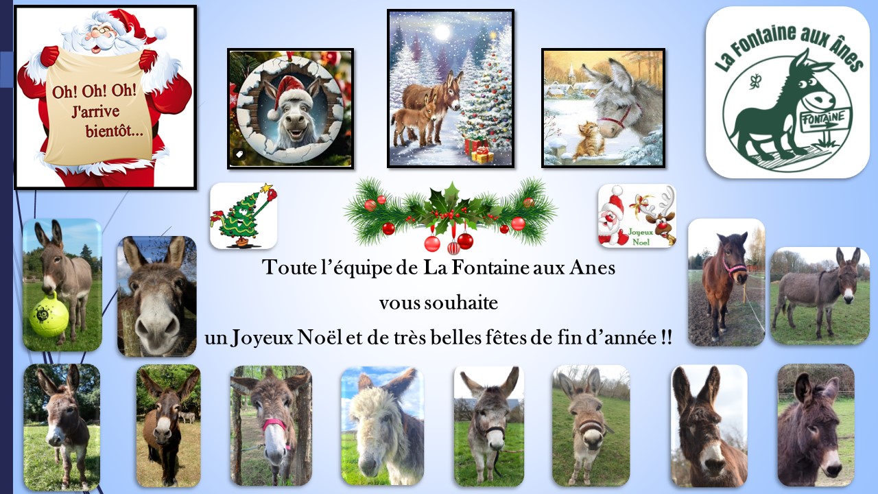 La-Fontaine-aux-Anes Carte-Noel