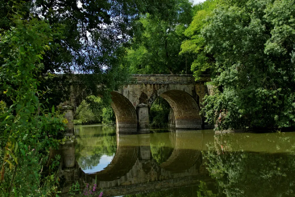 Pont 01