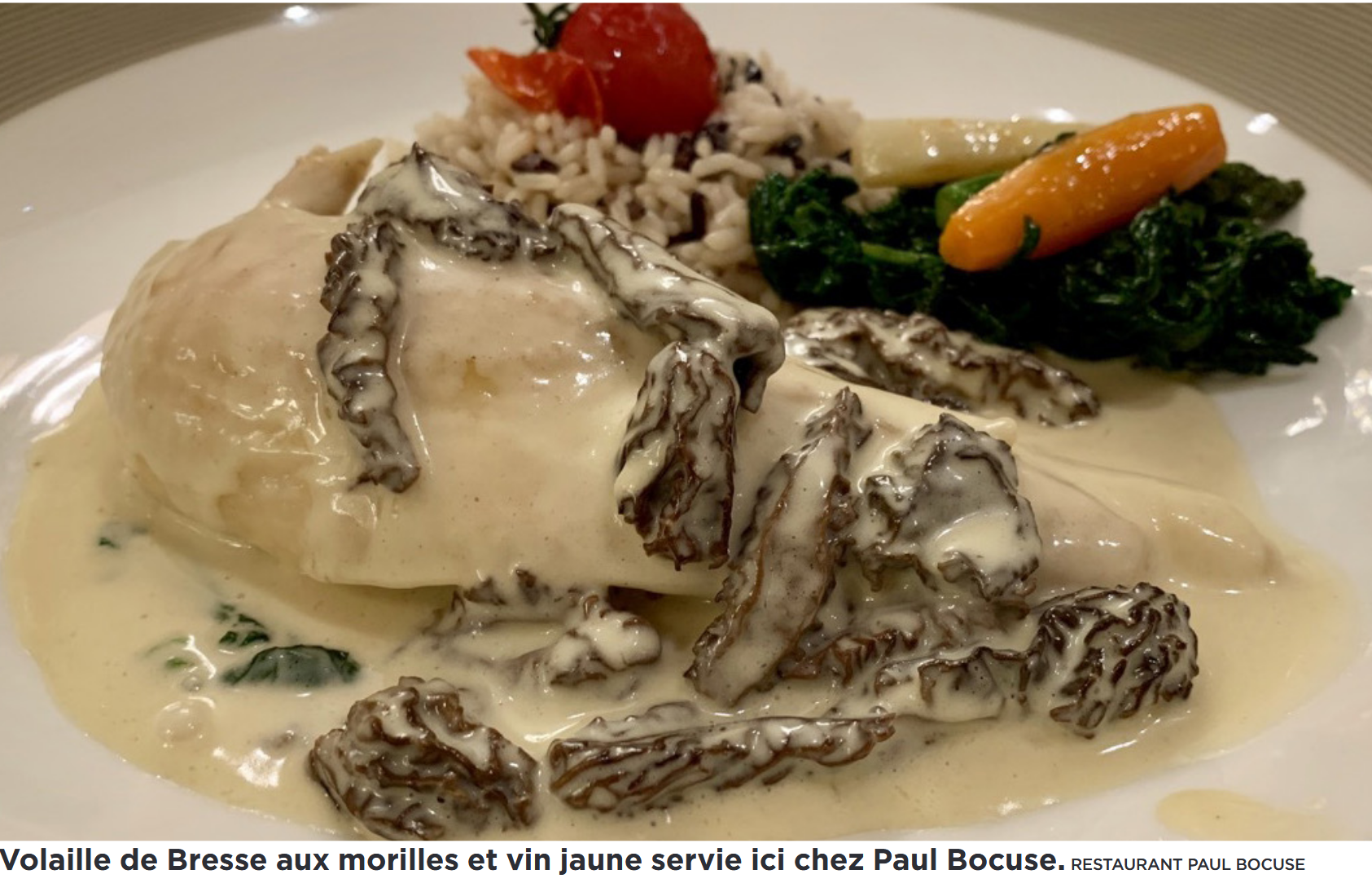 Poulet-morilles