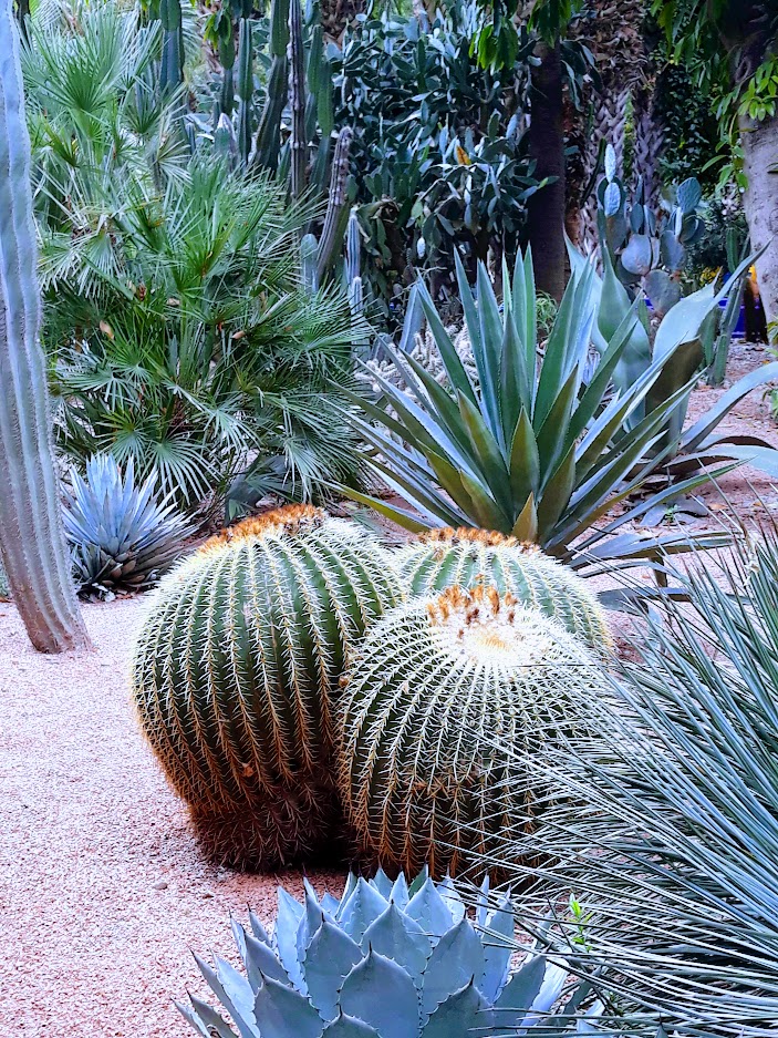 Majorelle