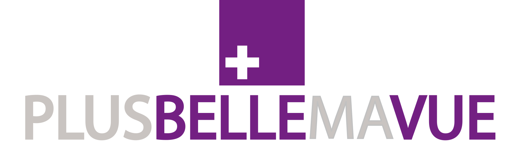 LogoPlusBelleMaVueSansSlogan