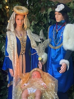 IMG 2576