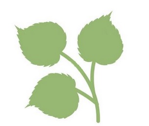Logo-tilleuls